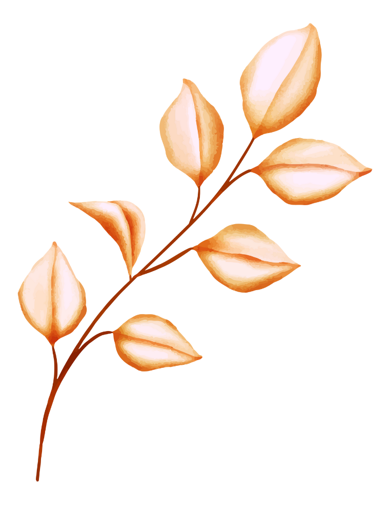 Totonoris